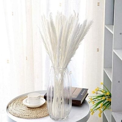 Zashmart Natural dried White Pampas Grass for Home Decor | 30 feathers for vase to use in dried flower arrangement at wedding and Holiday party